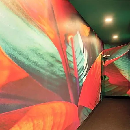 Rugs Augsburg, Trademark Collection By Wyndham اوغسبورغ